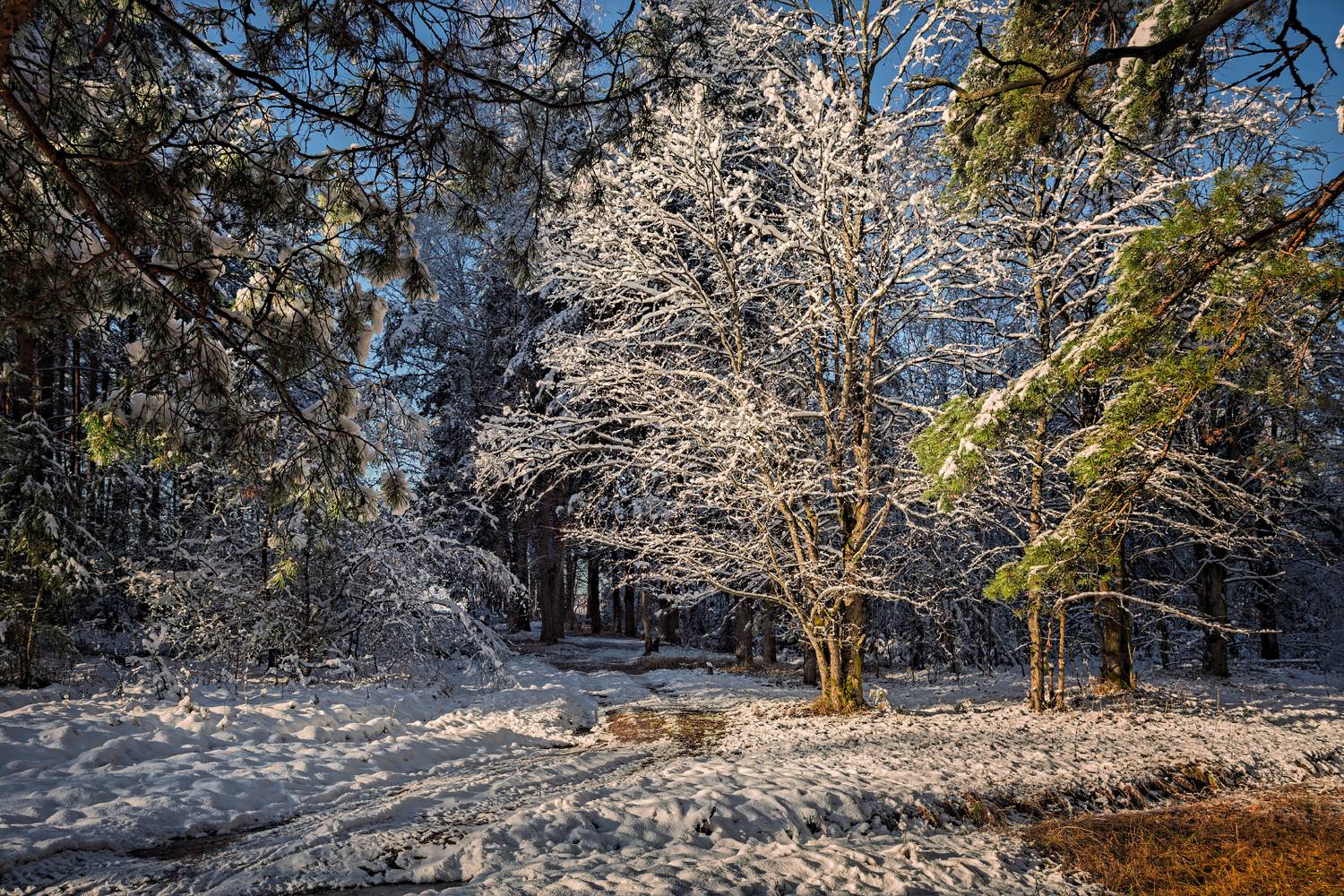 , Евгений Ерохин