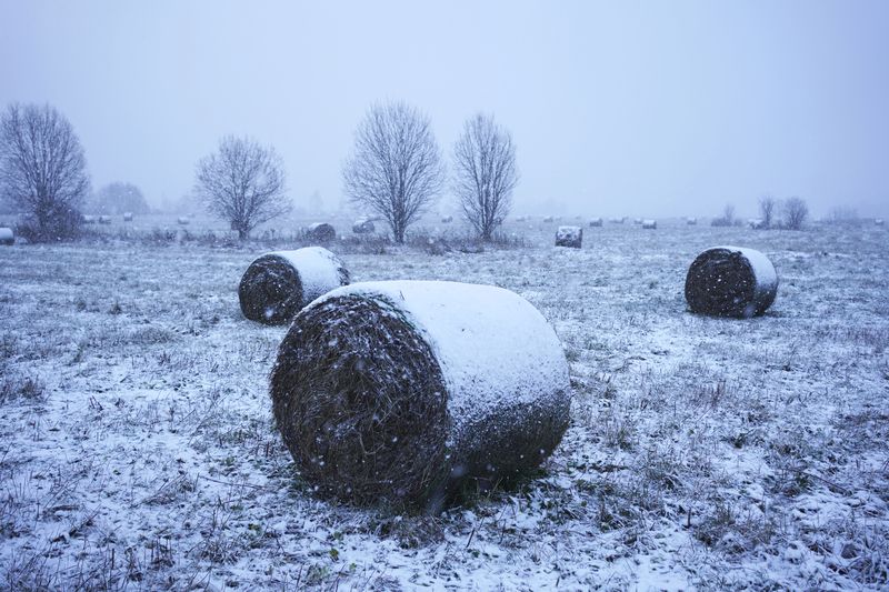 Заметает фото превью