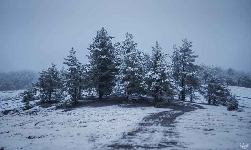 Первый снег на Суворовских карьерах. фото превью