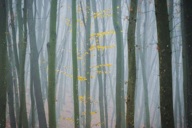 2025 фото превью