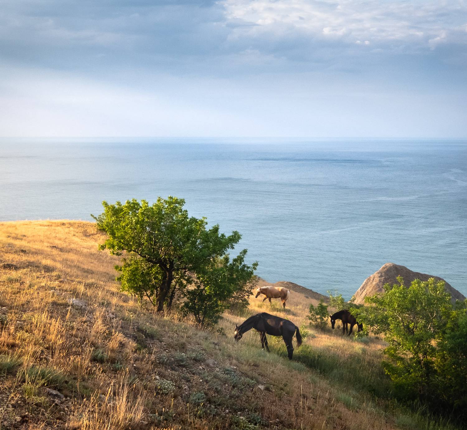 , Коротеев Вадим