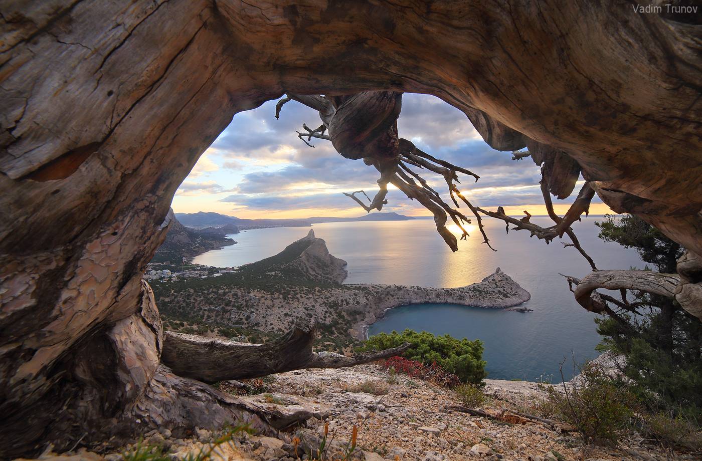 крым, Вадим Трунов