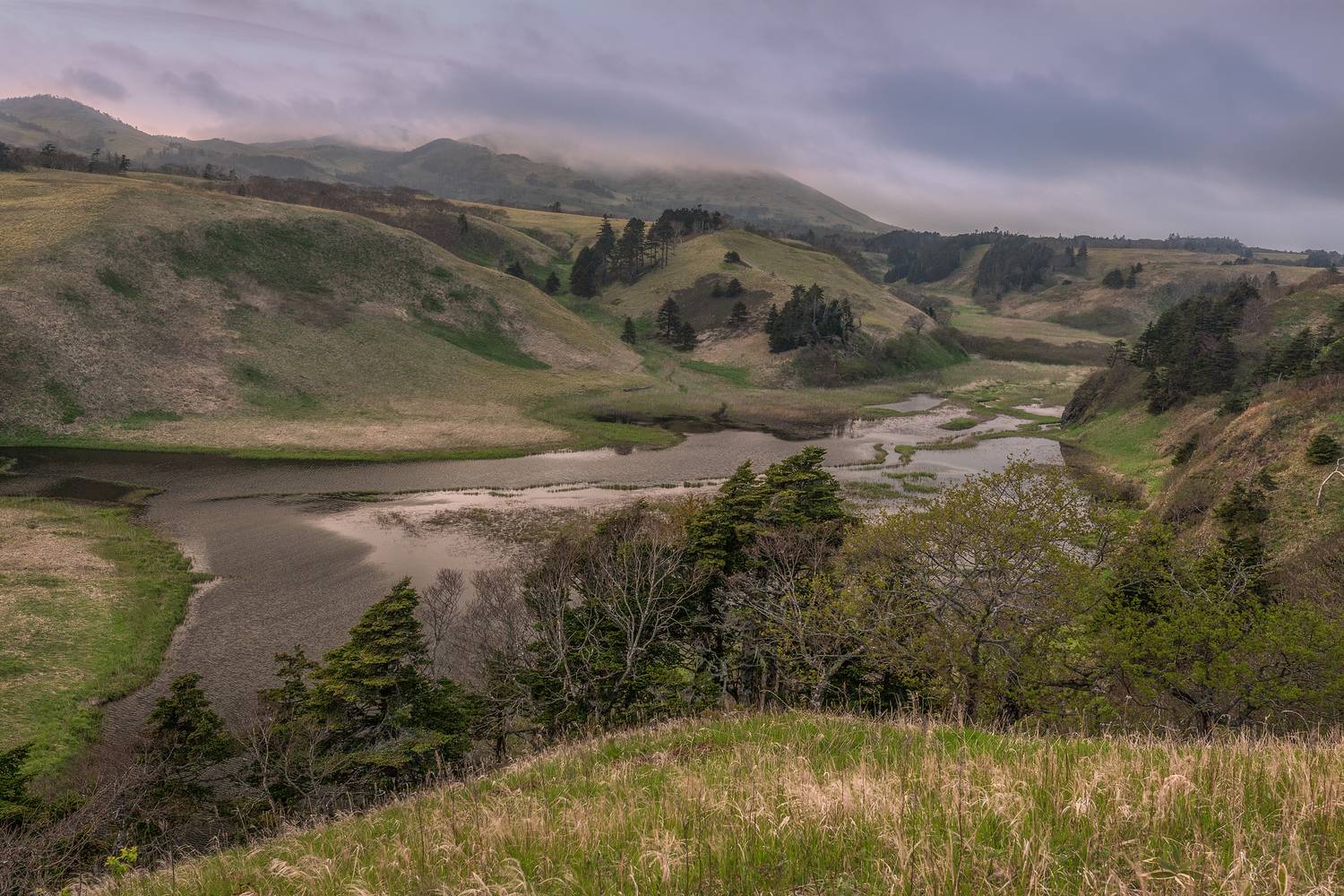 Курильские острова, Гусева Елена
