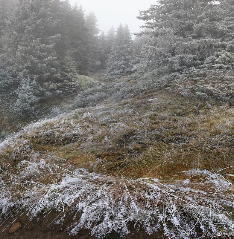 swiss Предзимье фото превью