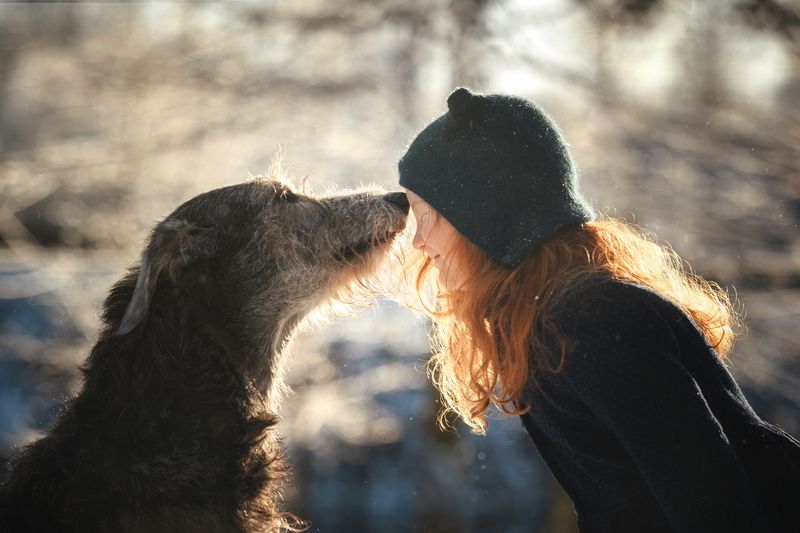 Привет! фото превью