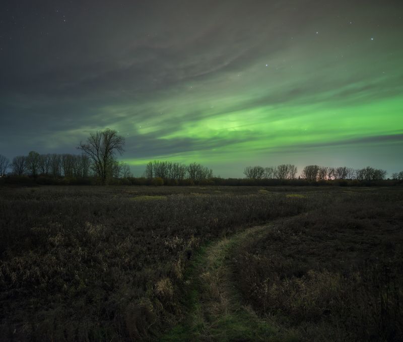 северное сияние, вологодская область, поле.  фото превью