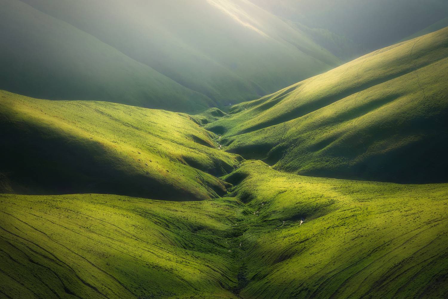 , Купчиков Илья