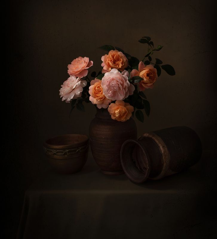 Still life, light, shadow, flowers, colors, vase Light and darkness фото превью