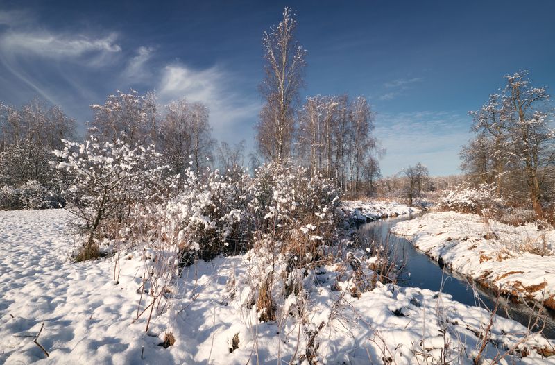 Первый ... фото превью