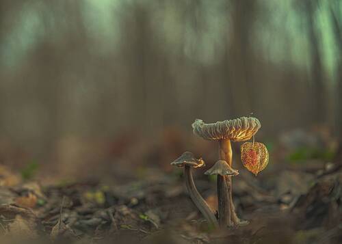 Время зажигать огни