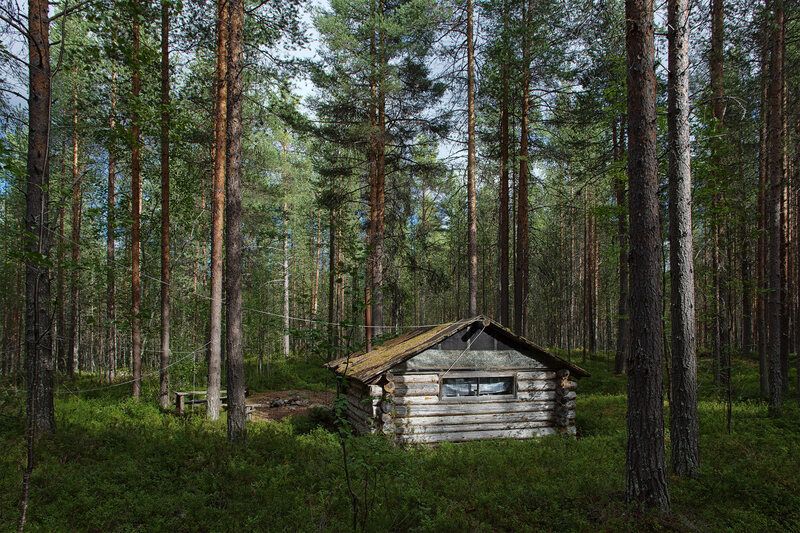 Лесная изба фото превью