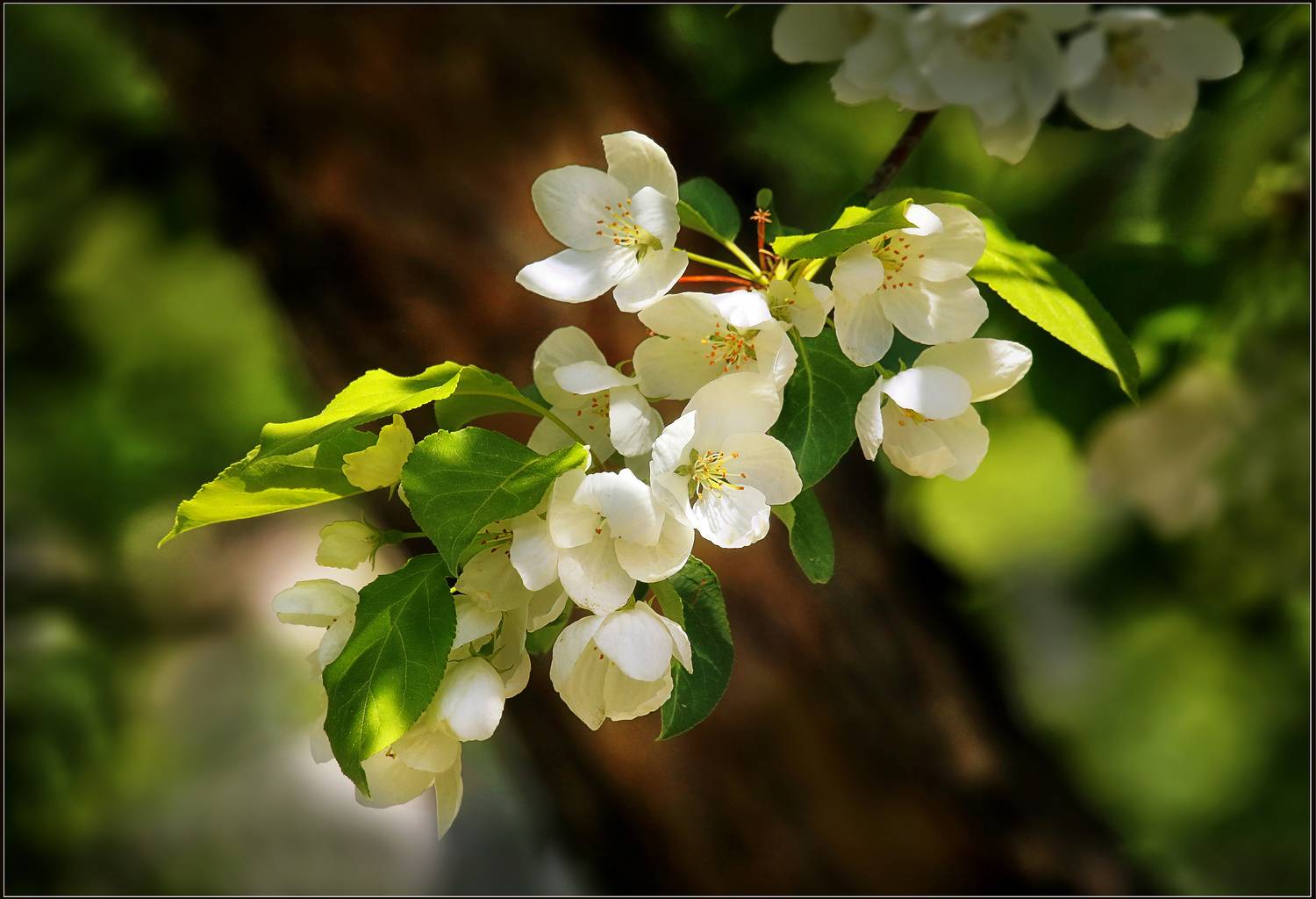 , Ушаков Валерий