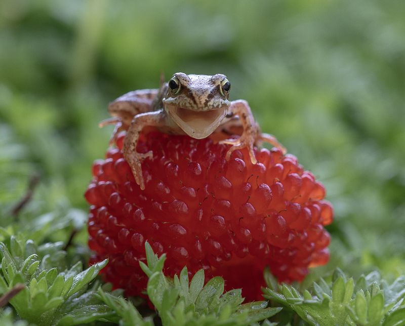 Моё!!! фото превью