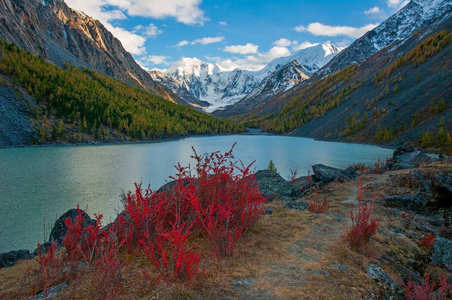 алтай, маашей, осень, лиственницы, вечер, река, долина, горы, озеро, снег, кусты, барбарис, берег, Мальцев Юрий