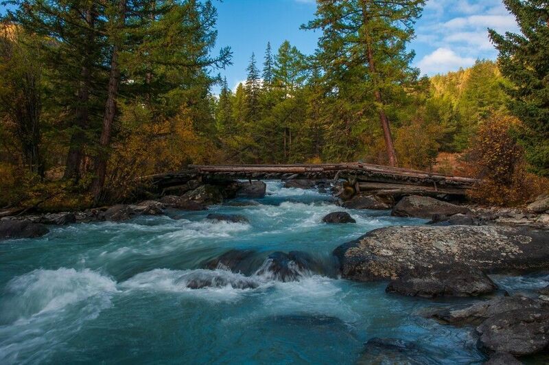 алтай, чуя, маашей, осень, лиственницы, утро, река, долина, горы, мост Река Маашей фото превью