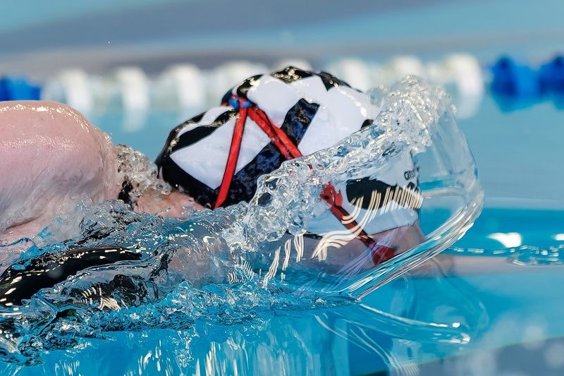 плавание, спорт, спортивный фотограф, swimming  Плавание фото превью