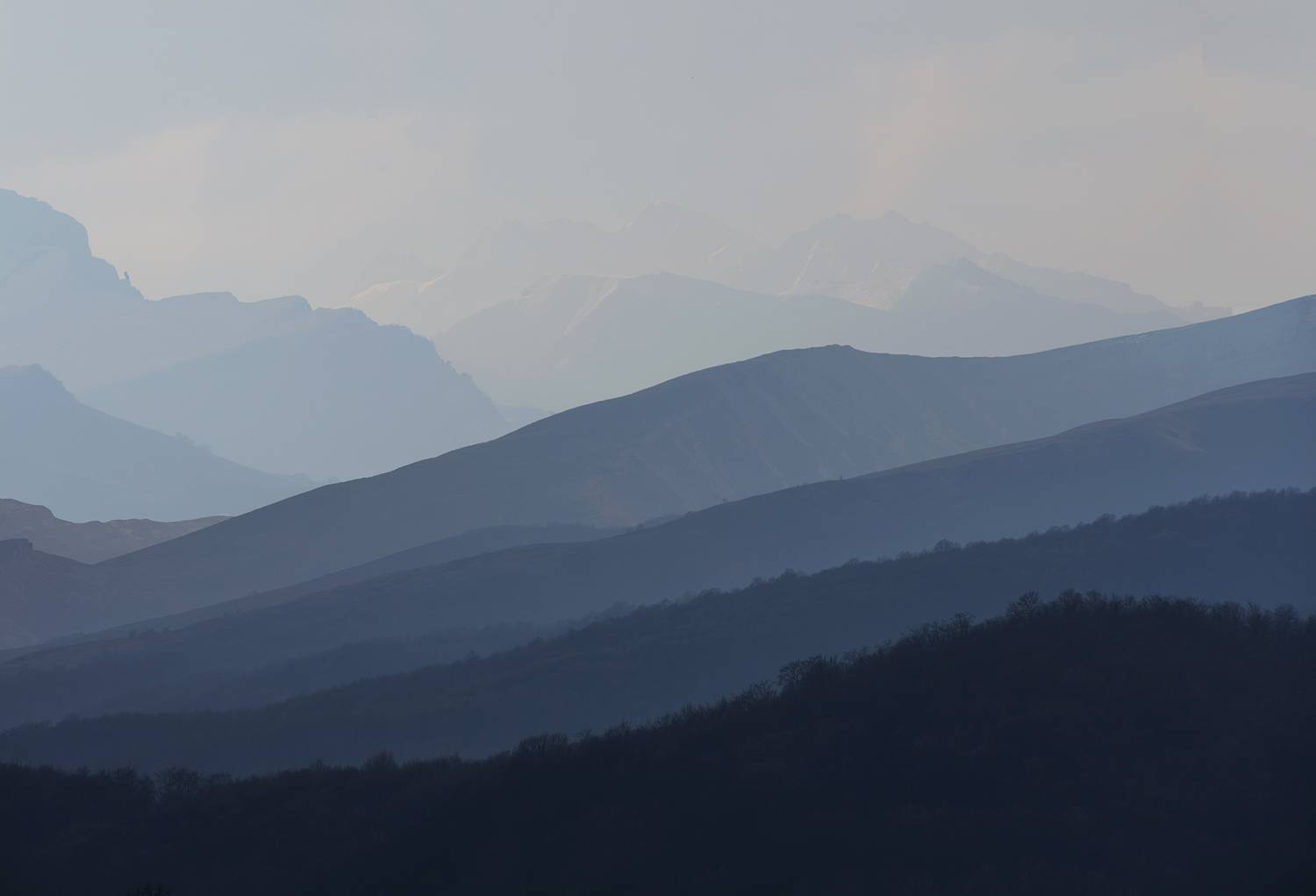 , Хасан Журтов