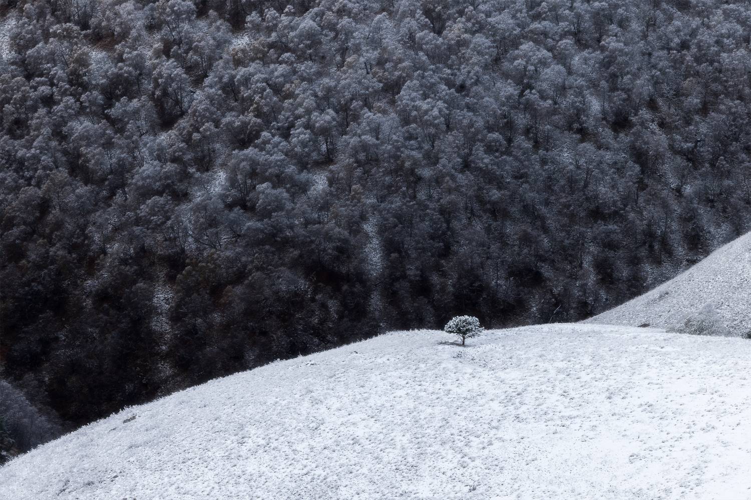 кавказ, кабардино-балкария, эльбрус, джилы-су, главный кавказский хребет, Телешов Александр