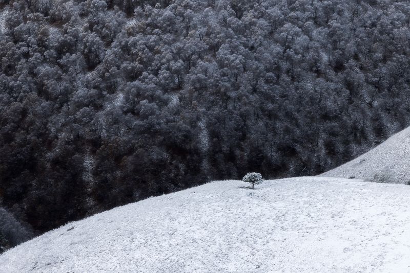 кавказ, кабардино-балкария, эльбрус, джилы-су, главный кавказский хребет По дороге на Джилы-Су, Приэльбрусье фото превью