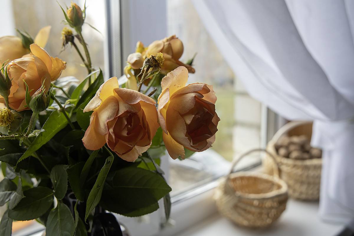 натюрморт, цветы, букеты, Приходько Ирина