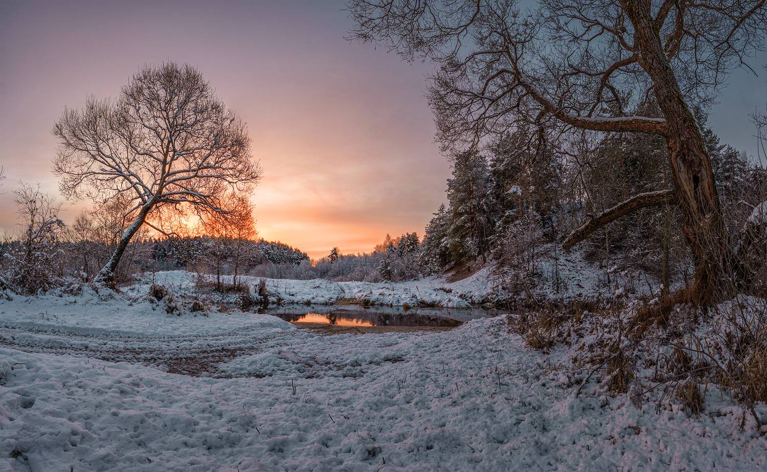 , Андреев Николай