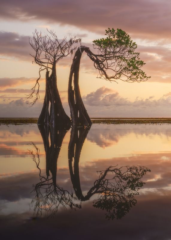 Circle of Life фото превью