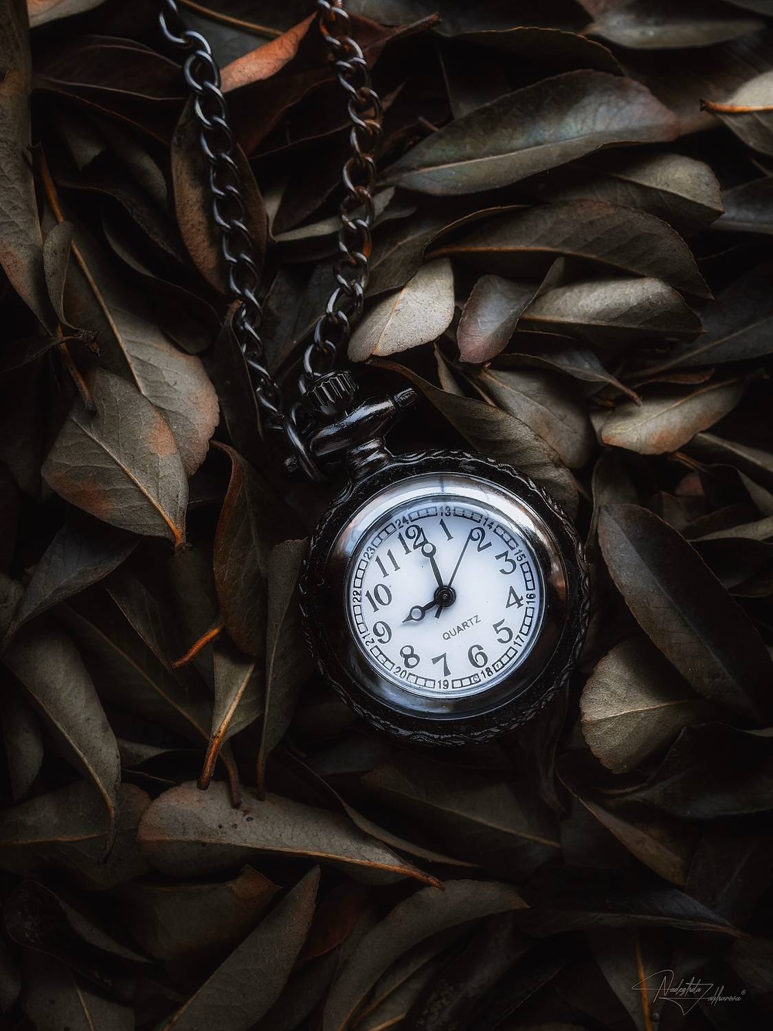 макро, часы, осень, листья, обои, Nadezhda Zakharova