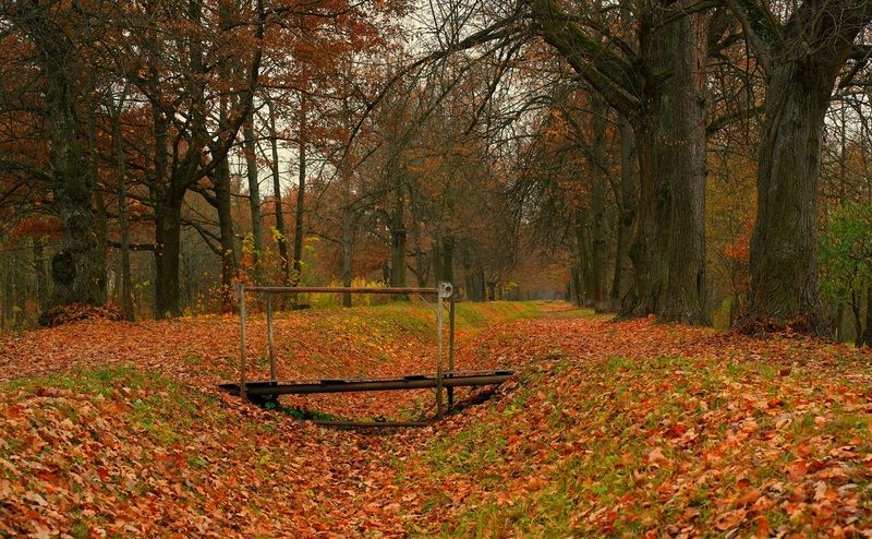 Footbridge фото превью