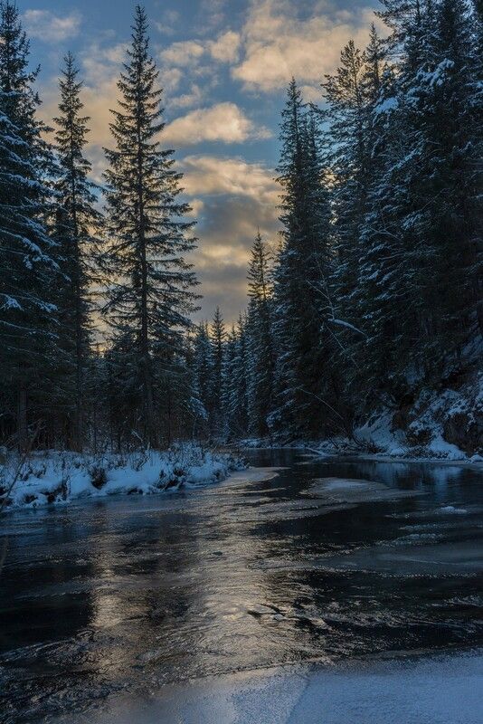 Предзимье фото превью