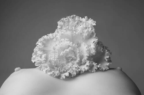 Brassica. Nude Botanica