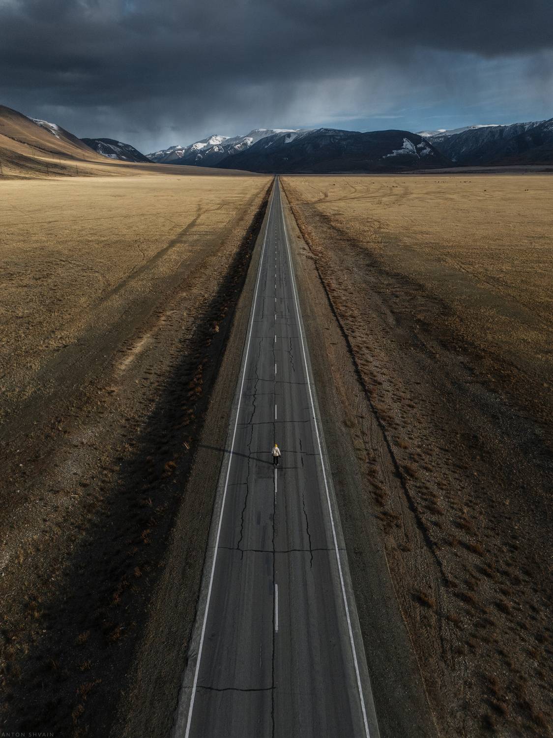 , Антон Шваин