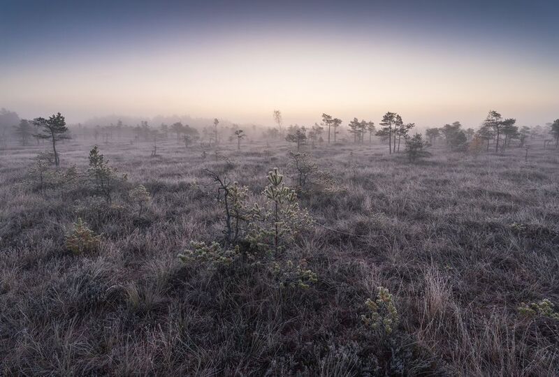 Холодным утром перед рассветом фото превью