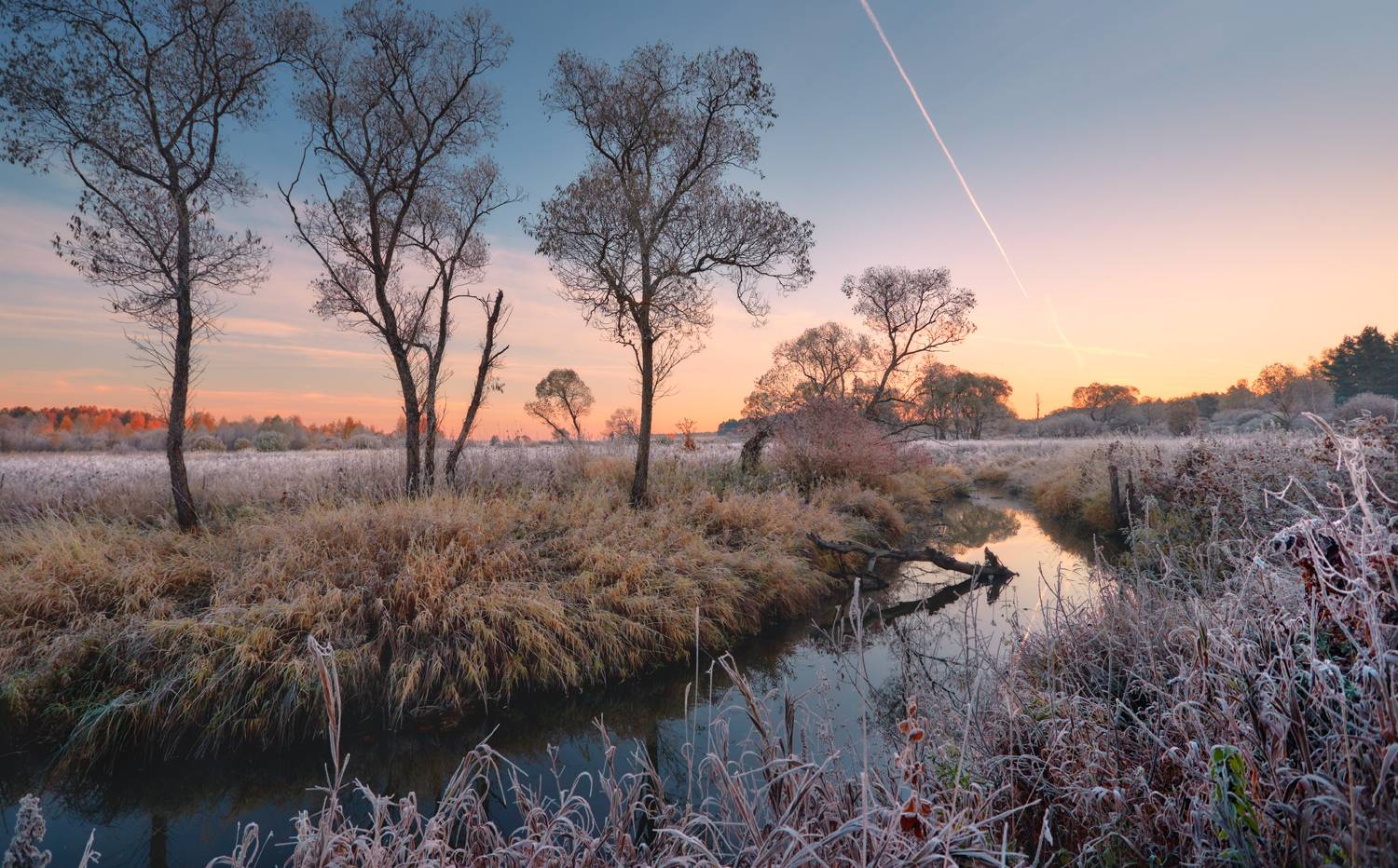 , Роман Лушпа