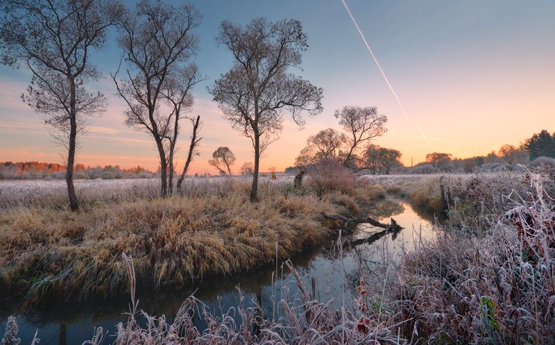 Серебро ... фото превью