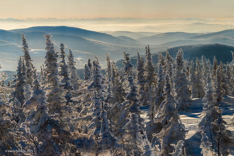 снег, иней, мороз, зима, пихты, кедры, гора зелёная, шерегеш, горная шория, сибирь Шерегешские дали фото превью