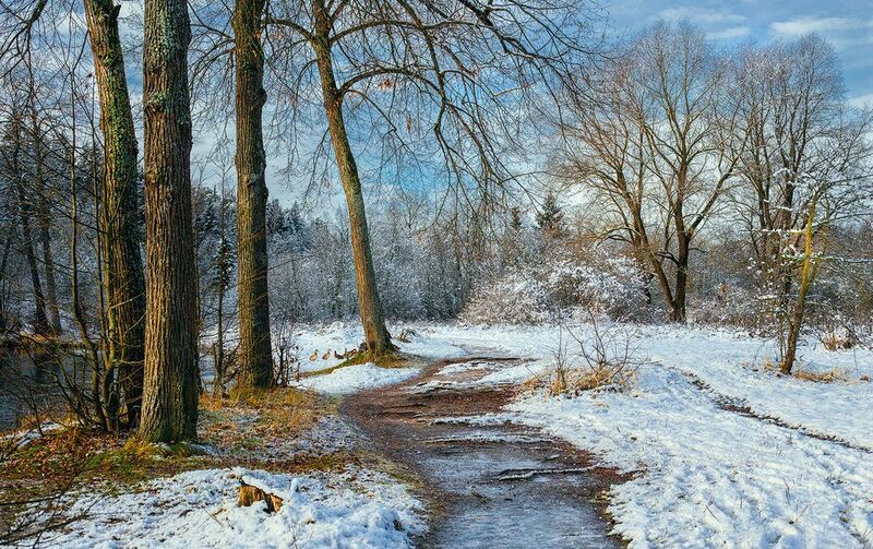 снег, природа, осень, зима Первый снег фото превью