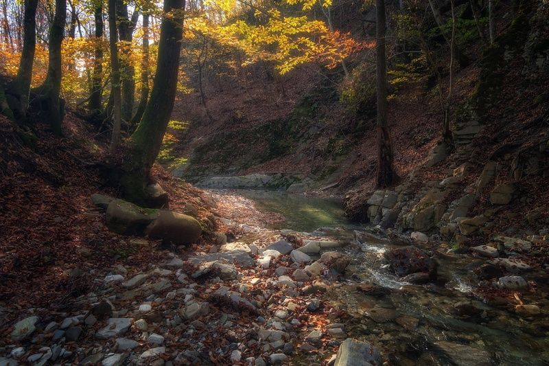 Туапсе. Река Паук и ее окрестности. фото превью
