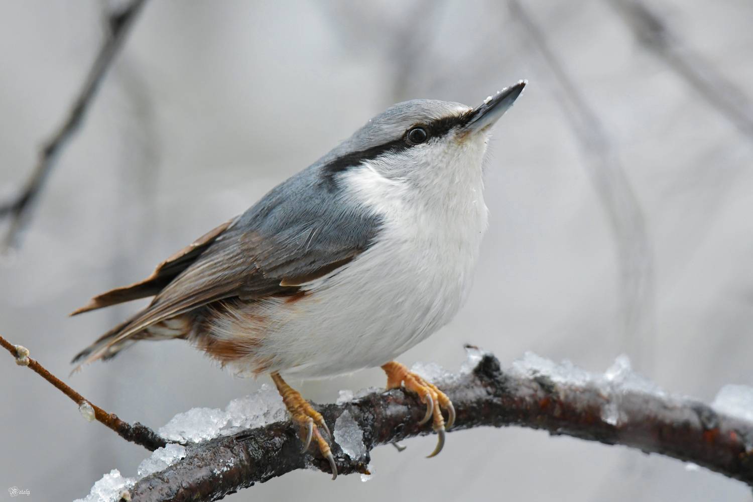 , Наталья Екимова