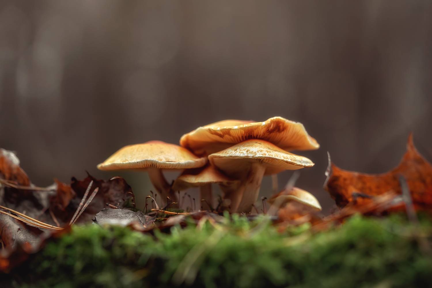 , Завьялова Людмила!