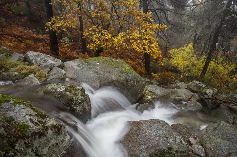 photography, mountain, autumn, flower, landscape, photo, awakening, flowers, land, landmark, lands, dramatic ligth, ligth, mountains Primeval фото превью