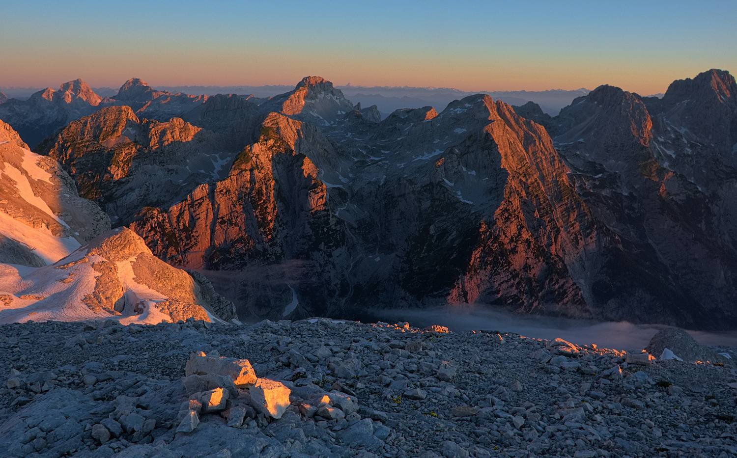 , Wojciech Tarnowski