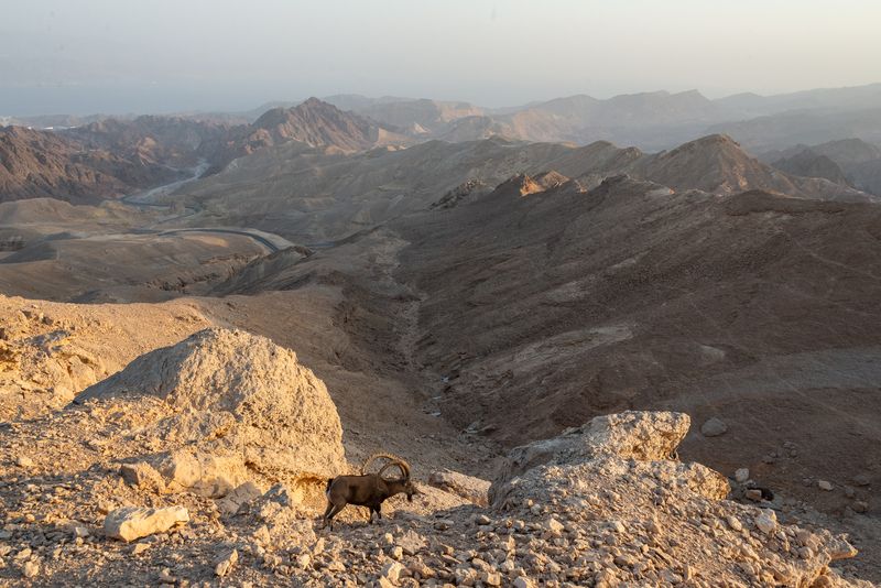 Эйлатские горы фото превью