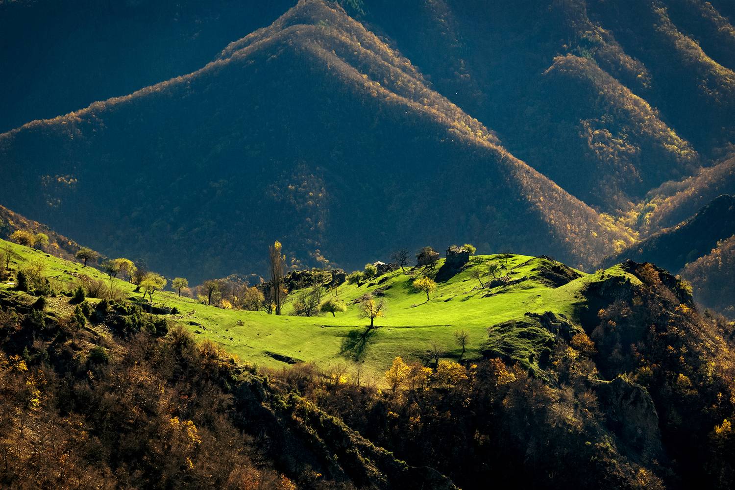 , Георгиев Иван