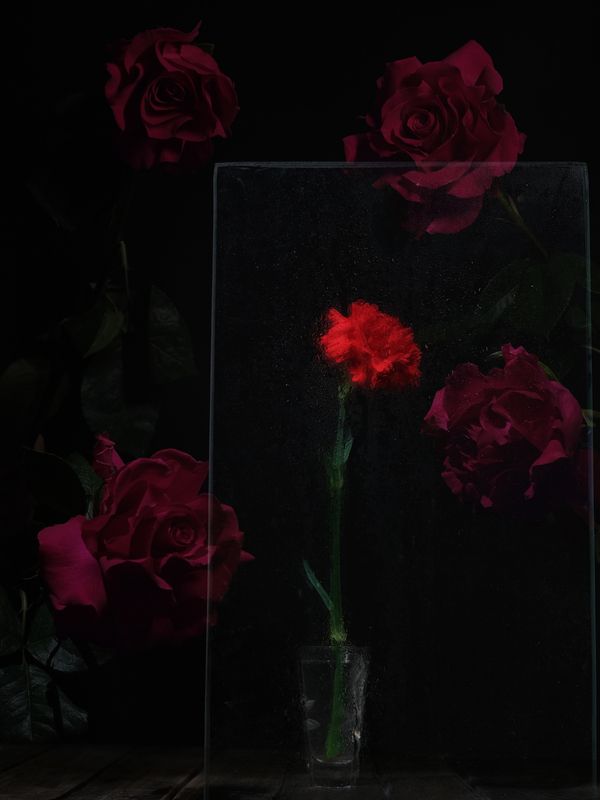 Воспоминания  фото превью