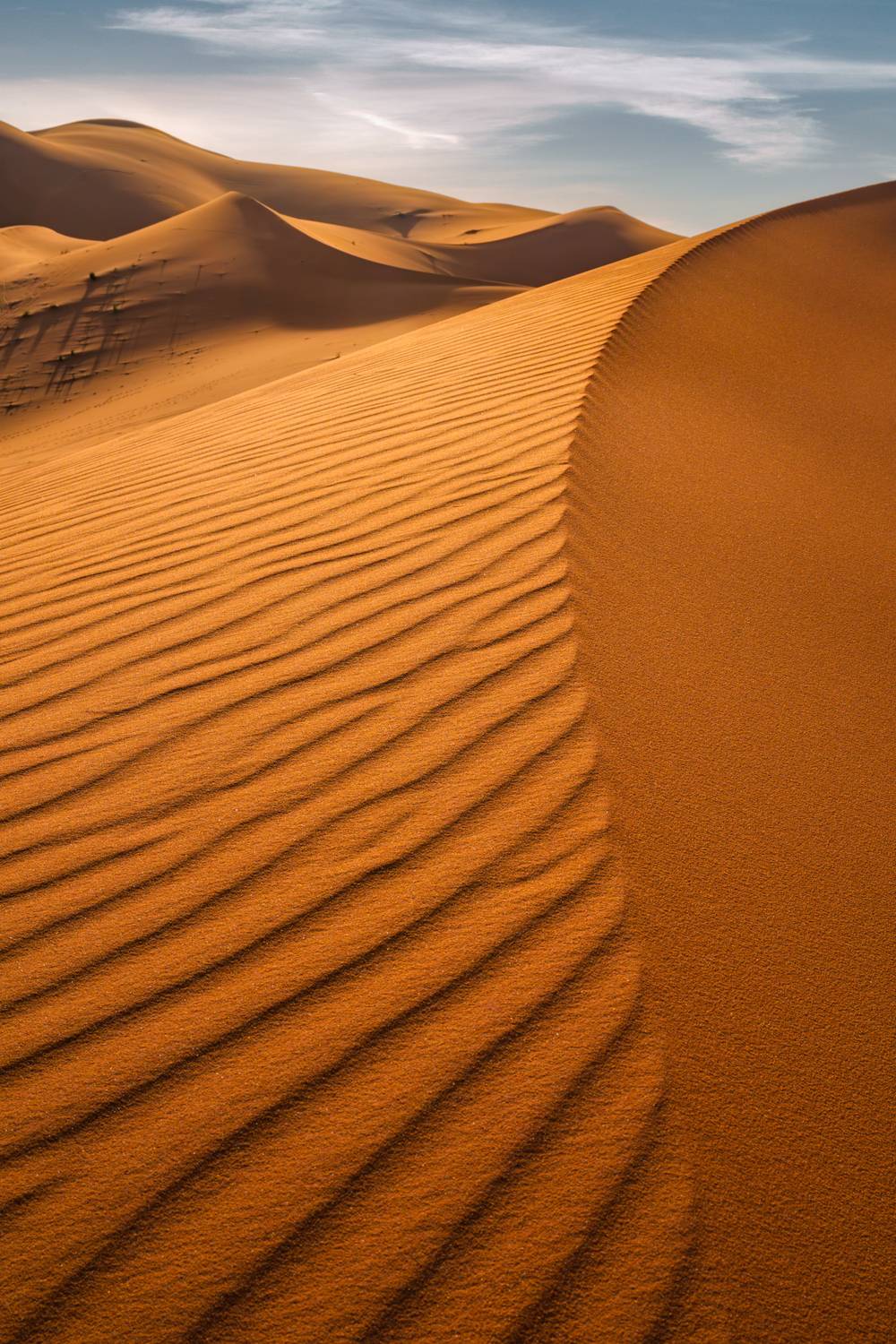 maroc, marocco, sahara desert, desert, sand, orange, light, марокко, пустыня, сахара, пейзаж, дюны, песок , Kaznov Stanislav