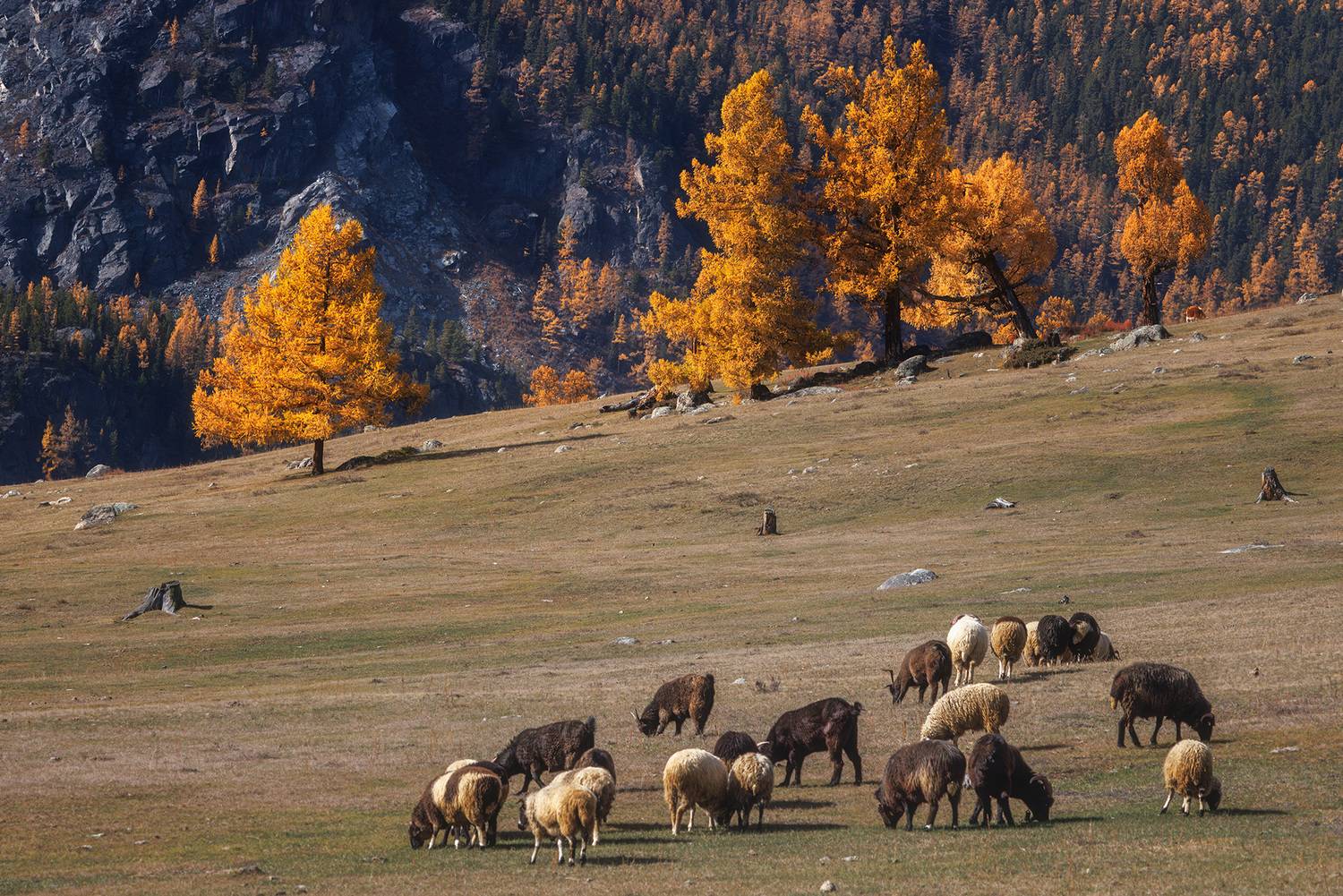 , Морозов Сергей
