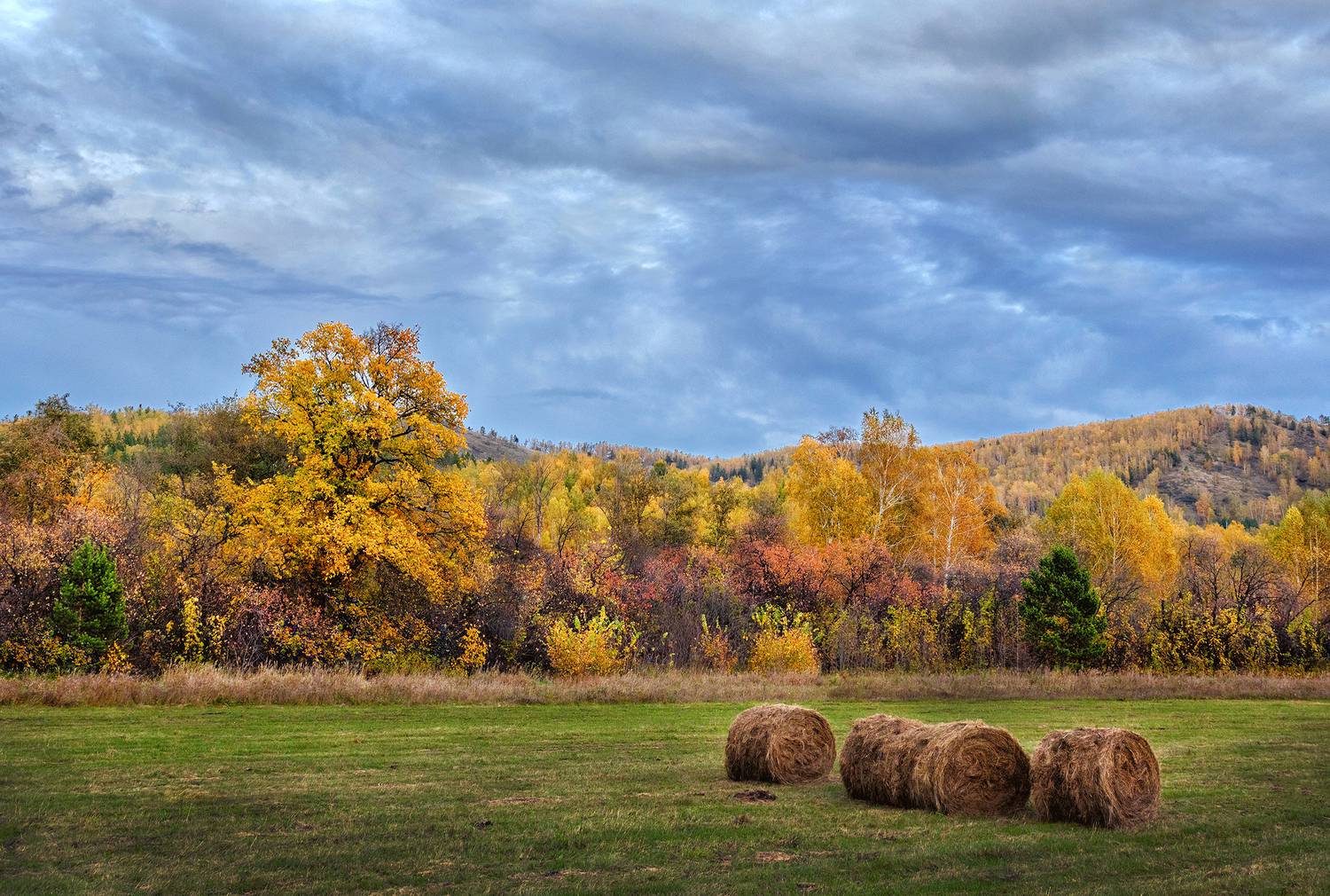, Ушаков Валерий