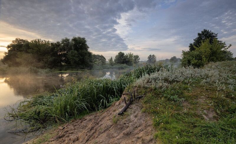Утро в августе фото превью