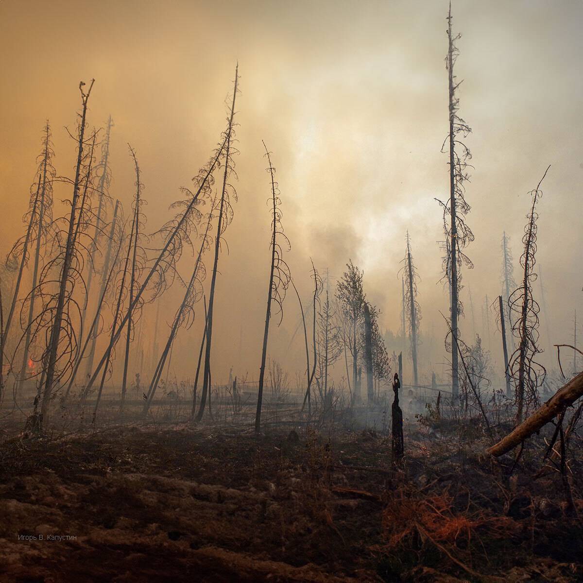 , Капустин Игорь