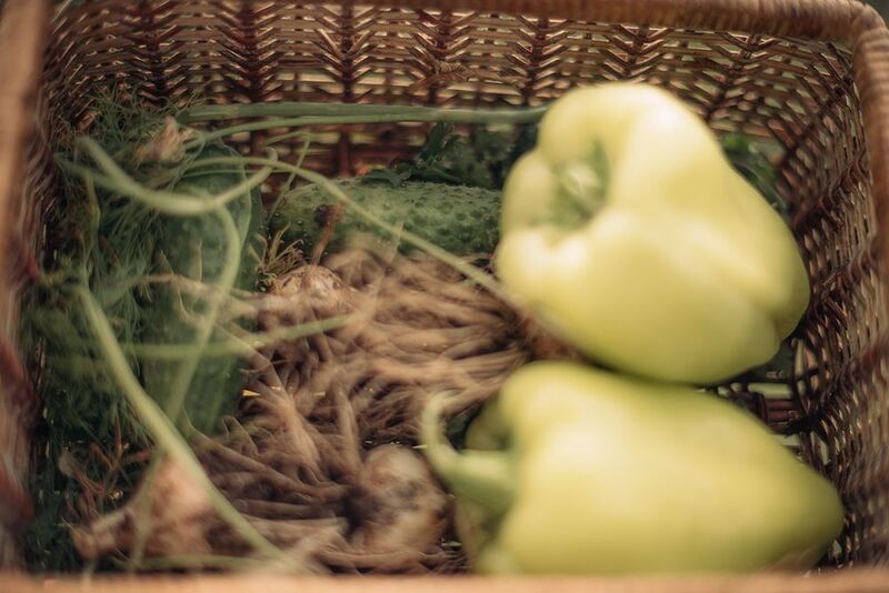 Болгарский перец огурцы кабачки помидоры Партия Зелёных фото превью